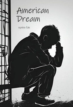 American dream - Vojtěch Žák