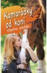 Kamarádky od koní 2 - Chyťte zloděje - Antje Szillatová