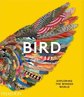 Bird: Exploring the Winged World - Jen Lobo