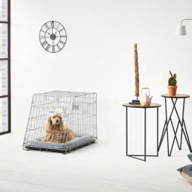 Savic Dog Residence stříbrná / Přepravní klec pro psy do auta / 76x53x61 cm / Kov, plast / sešikmená čelní strana (114-3296)