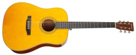 Tanglewood TW40 D AN E