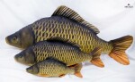 Gaby Polštář Kapr mini šupináč 36 cm,Gaby Polštář Kapr mini šupináč 36 cm