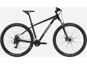 Horské kolo Cannondale Trail 8 Grey L