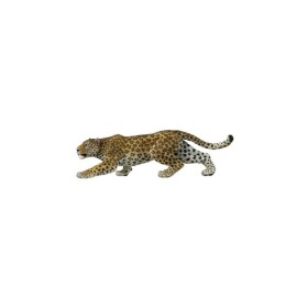 Panther