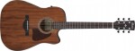 Ibanez AW247CE Natural