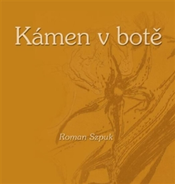 Kámen v botě - Roman Szpuk