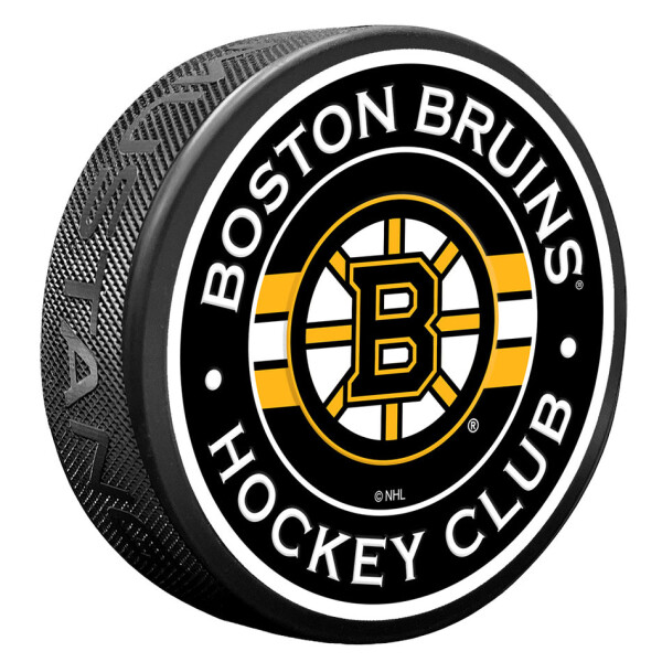 Mustang Puk Boston Bruins NHL Stripe Design