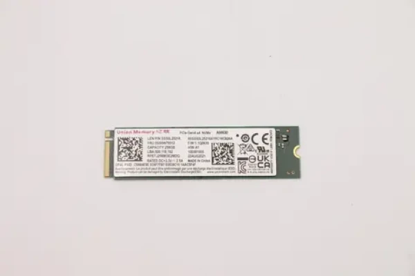Lenovo SSD 256GB (5SS0V26457) / SSD / M.2 2280 / PCIe 4.0 NVMe (5SS0V26457)