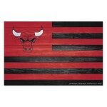 Cedule Chicago Bulls NBA Americana WinCraft
