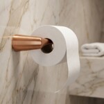 REA - Držák na toaletní papír 16205 VIBE Brush Gold REA-60105
