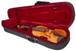 Violin Schönbach Golden