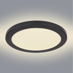 Stropní svítidlo 12379-24B LED 24W D30 PL1