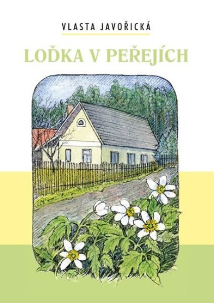 Loďka peřejích