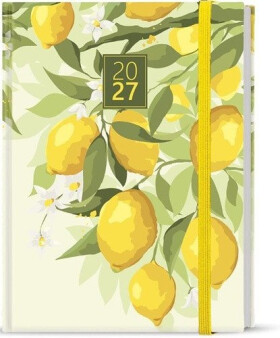 Denní diář Adam Lamino B6 Citron