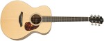 Furch Blue G-SW L.R. Baggs EAS-VTC CNR Active