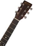 Martin D-10E Sitka Top