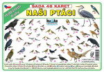 Sada 48 karet - Naši ptáci - Petr Kupka