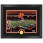 Obraz Cincinnati Bengals NFL Team Stadium Bronze Coin