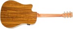Tanglewood TM5CE