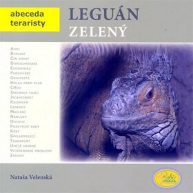 Leguán zelený - Abeceda teraristy - Nataša Velenská