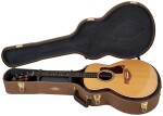 Taylor Gold Label 814e Koa