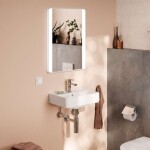 HANSGROHE - Xanuia Q Umývátko 45x34 cm, s přepade, otvor pro baterii, bílá 60130450