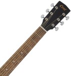 Cort Earth 60 BK