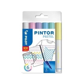 PILOT Pintor Medium Sada Pastel ks