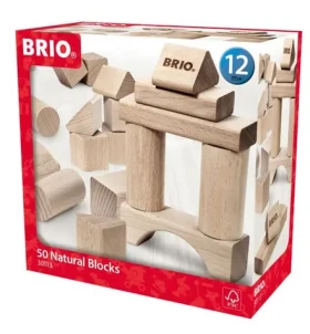 BRIO Dřevěné kostky 50 dílků