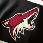 Fanatics Dětská Mikina Arizona Coyotes Asset Lace-Up Pullover Hoodie Velikost: Dětské L (13 - 14 let)