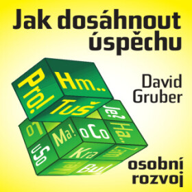 Co je to úspěch – a jak jej dosáhnout? - David Gruber - audiokniha