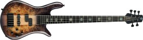 Spector Euro CST 5 Natural Violet Burst