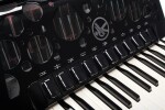Hohner Amica Forte IV 96 black