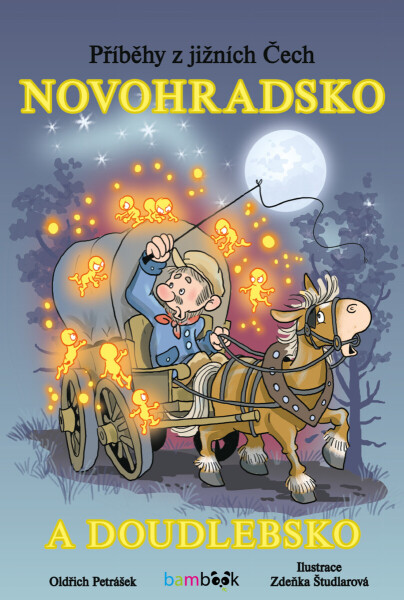Příběhy z jižních Čech - Novohradsko a Doudlebsko - Zdeňka Študlarová, Oldřich Petrášek