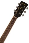 Ibanez PF15 Black