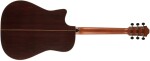 Furch Rainbow Dc-LG
