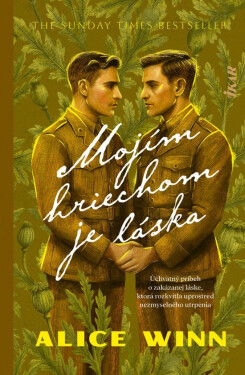 Mojím hriechom je láska (slovensky) - Alice Winn