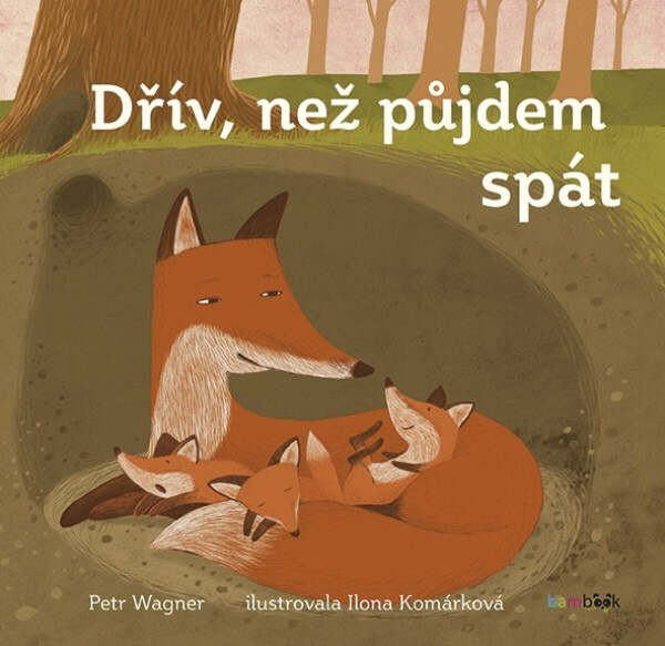 Dřív než půjdem spát - Petr Wagner, Ilona Komárková