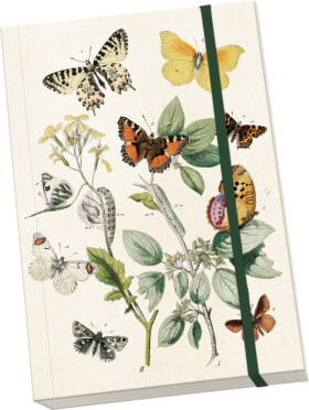 Notýsek Butterflies