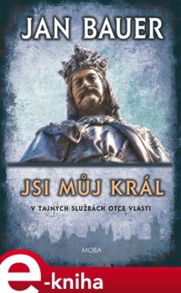 Jsi můj král - Jan Bauer e-kniha