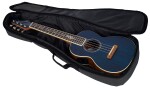 Fender Dhani Harrison Uke WN SB