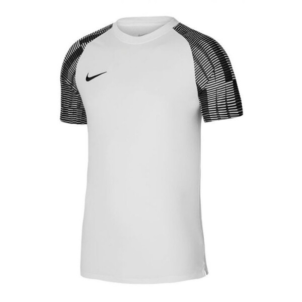 Pánské tréninkové tričko Dri-Fit Academy SS DH8031-104 Nike cm)