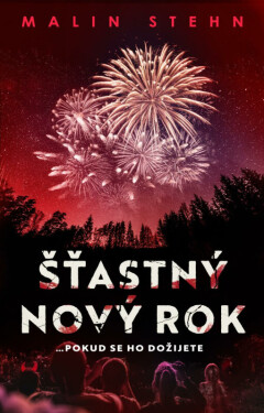 Šťastný nový rok (poškozená) - Malin Stehn