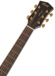 Cort Gold-A8 NAT