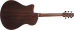 Ibanez AAM380CE Natural