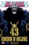 Bleach 43: Kingdom of Hollows