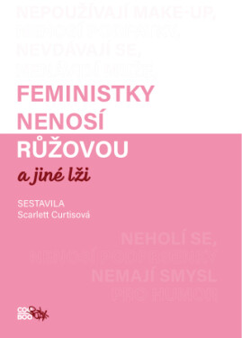 Feministky nenosí růžovou a jiné lži - e-kniha