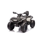 Mamido Dětská elektrická čtyřkolka Can-Am Outlander ATV 4x200W šedá