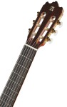Alhambra 4P