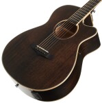 Tanglewood TW4 CE BS